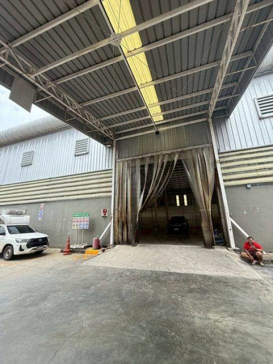 ⡴ѧ������ �ҧ����