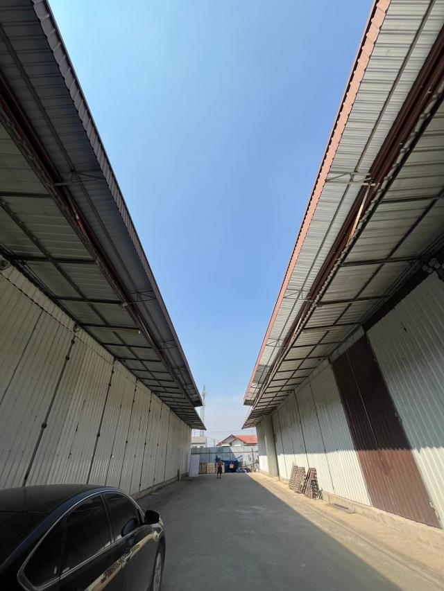 ���⡴ѧ ������