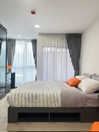 �͹� ��بѡ�