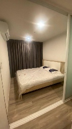 �͹����������