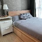 �͹����������