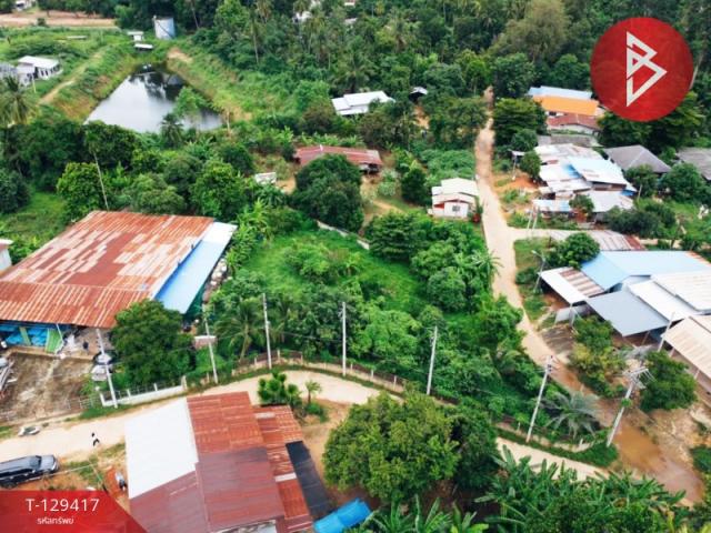 The Best Property Agent