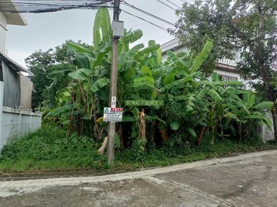 ��·��Թ �оҹ�٧