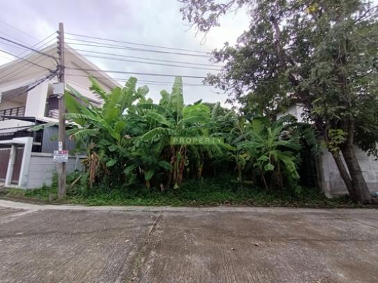 ��·��Թ �оҹ�٧