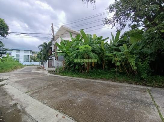 ��·��Թ �оҹ�٧