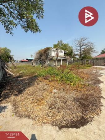 The Best Property Agent