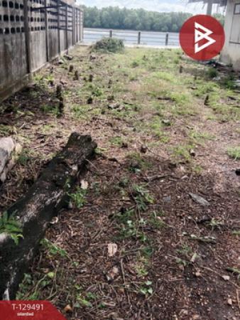 ��·��Թ �ҧ�С� ���ԧ���