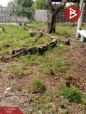 ��·��Թ �ҧ�С� ���ԧ���