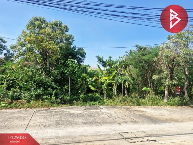 ��·��Թ �ҧ�˭� �������