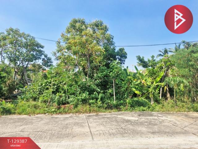 ��·��Թ �ҧ�˭� �������