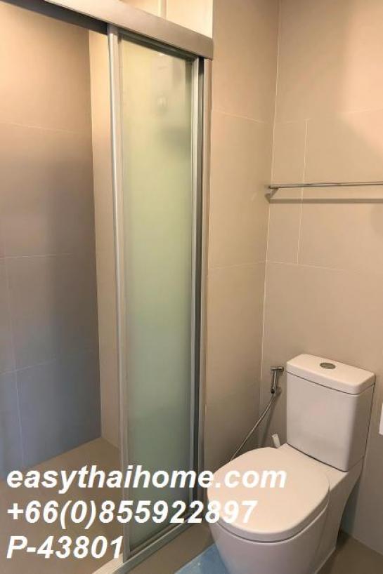 ��¤͹� �ҹ���ҡ�ا෾