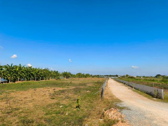 ���Թ������ �ҧ��Ҹ� ��طû�ҡ��