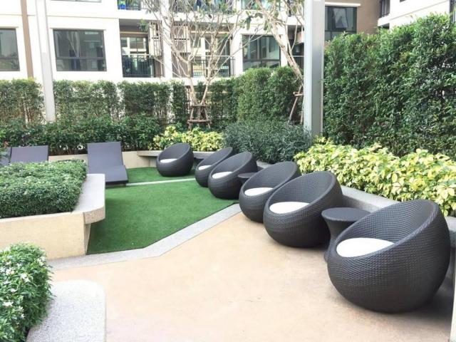 �͹������� �ҧ��