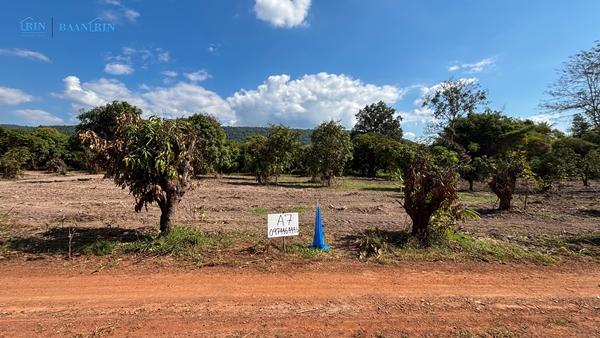 ��·��Թ �ѧ�ͧ ��ɳ��š