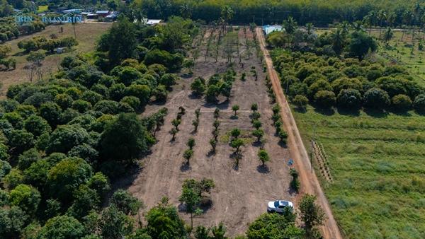 ��·��Թ �ѧ�ͧ ��ɳ��š