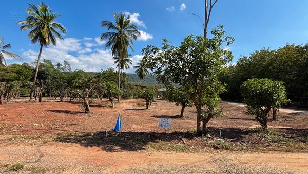 ��·��Թ �ѧ�ͧ ��ɳ��š