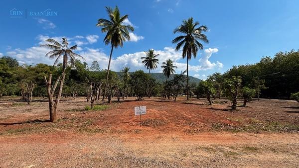 ��·��Թ �ѧ�ͧ ��ɳ��š