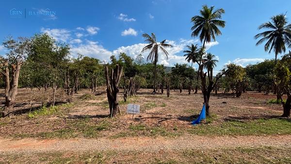 ��·��Թ �ѧ�ͧ ��ɳ��š