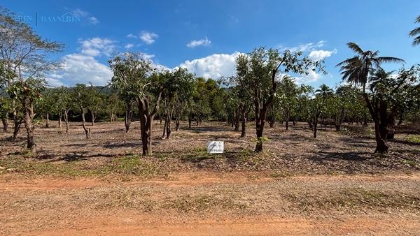 ��·��Թ �ѧ�ͧ ��ɳ��š