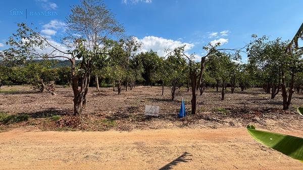 ��·��Թ �ѧ�ͧ ��ɳ��š