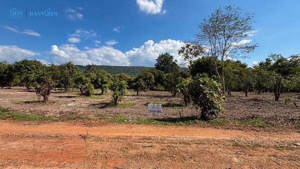 ��·��Թ �ѧ�ͧ ��ɳ��š