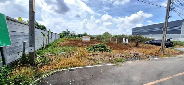 ��·��Թ �ҧ��Ƿͧ �������