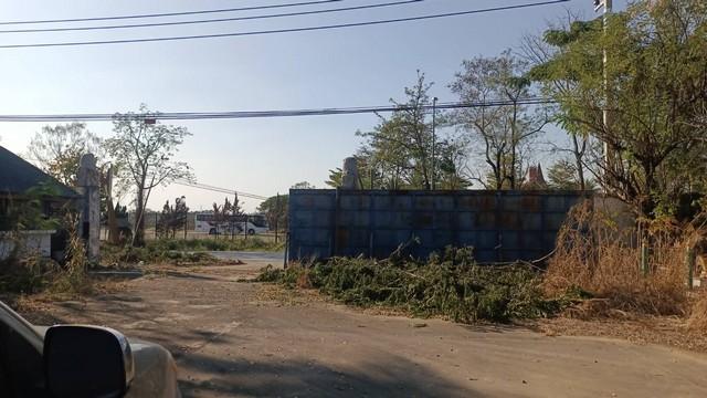 ���⡴ѧ ���ͧ�Ӿٹ �Ӿٹ