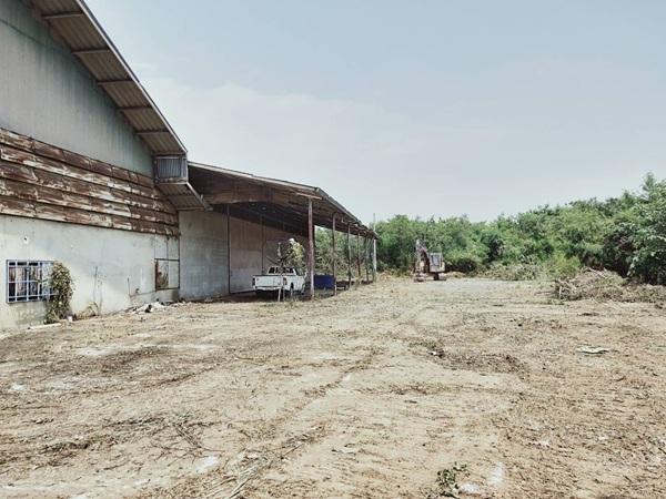 ���⡴ѧ ���ͧ�صôԵ�� �صôԵ��