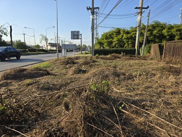 ���⡴ѧ ���ͧ�صôԵ�� �صôԵ��