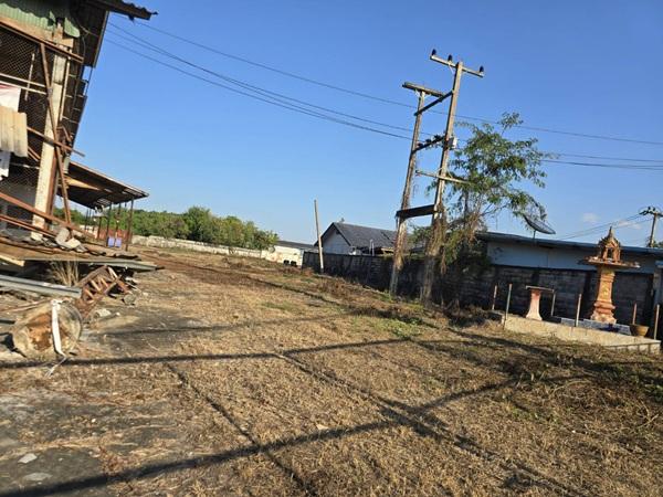 ���⡴ѧ ���ͧ�صôԵ�� �صôԵ��