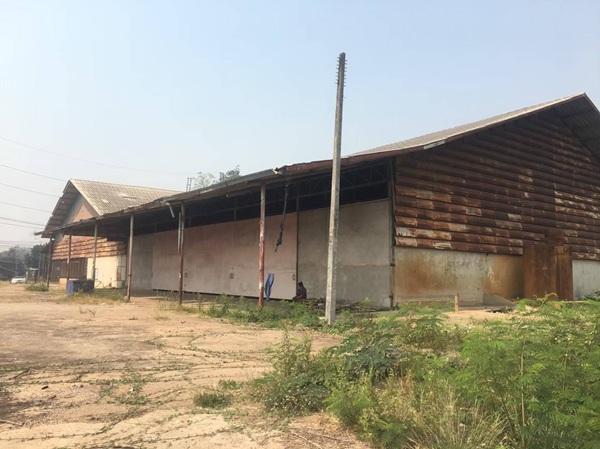 ���⡴ѧ ���ͧ�صôԵ�� �صôԵ��