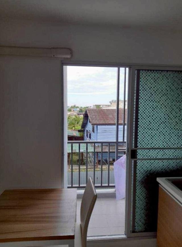 �͹������� �ҧ�