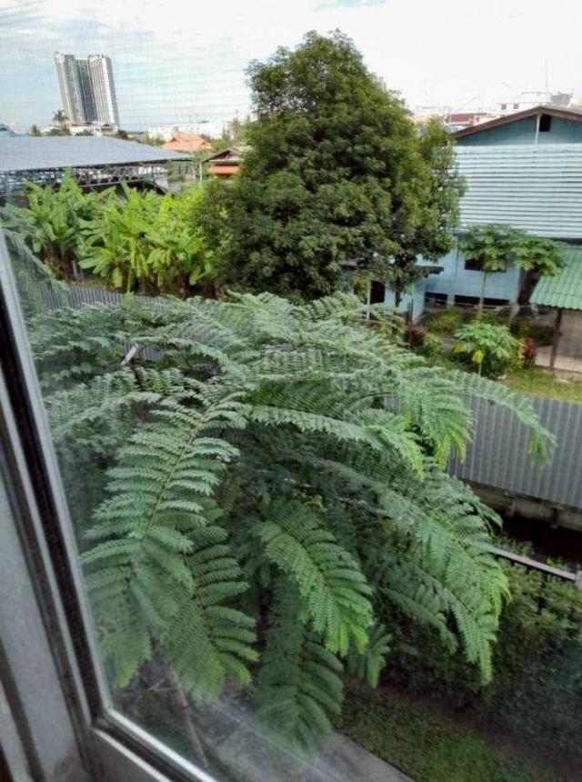 �͹������� �ҧ�