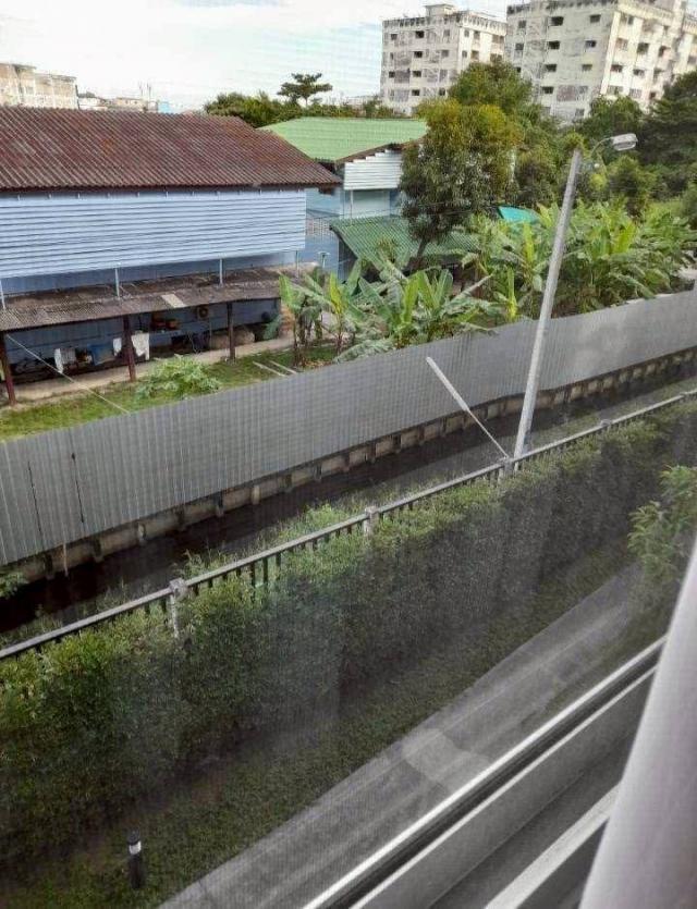 �͹������� �ҧ�