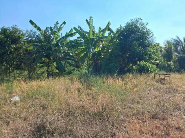 ��·��Թ ��ҹ��� ��ط��Ҥ�