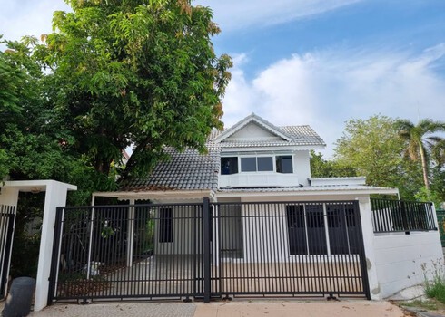 ��ҹ�����