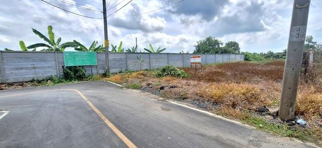 ��·��Թ �ҧ��Ƿͧ �������