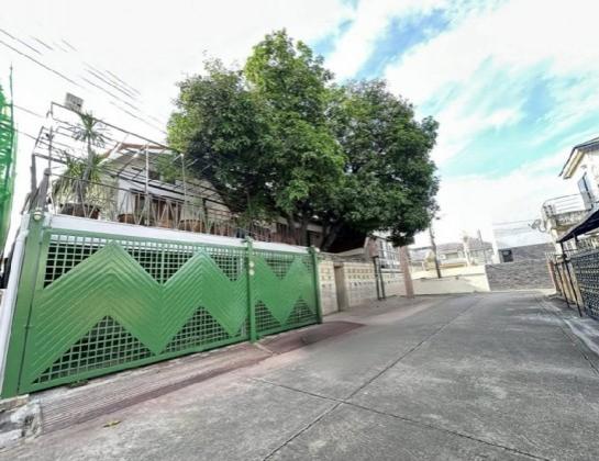 ��ҹ ������