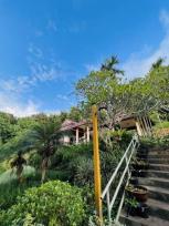 ��º�ҹ 40,000 �ҷ