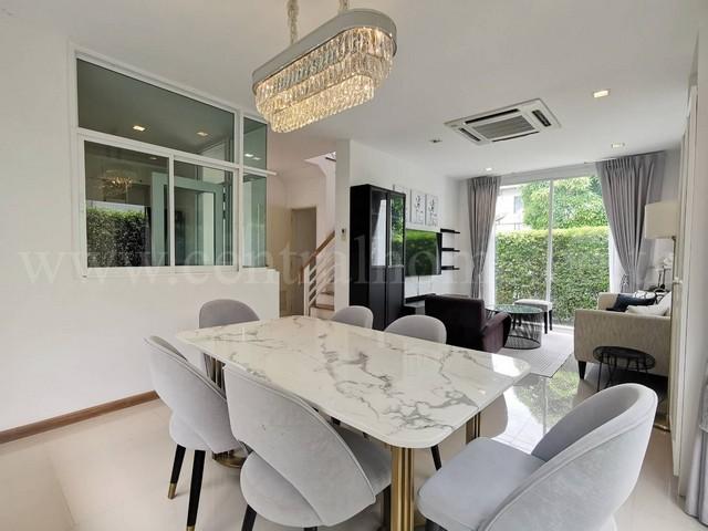 ��ҹ������ ������