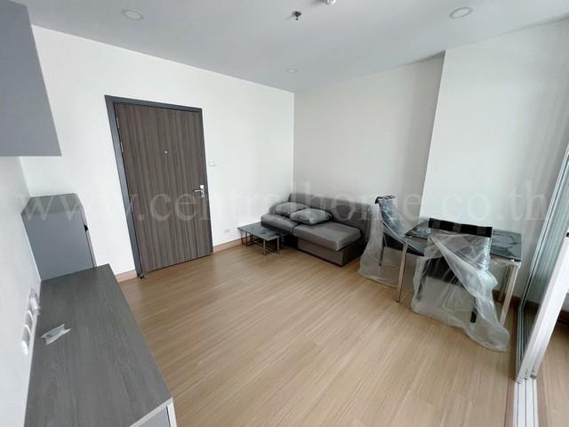 �͹������� �ҧ�л�