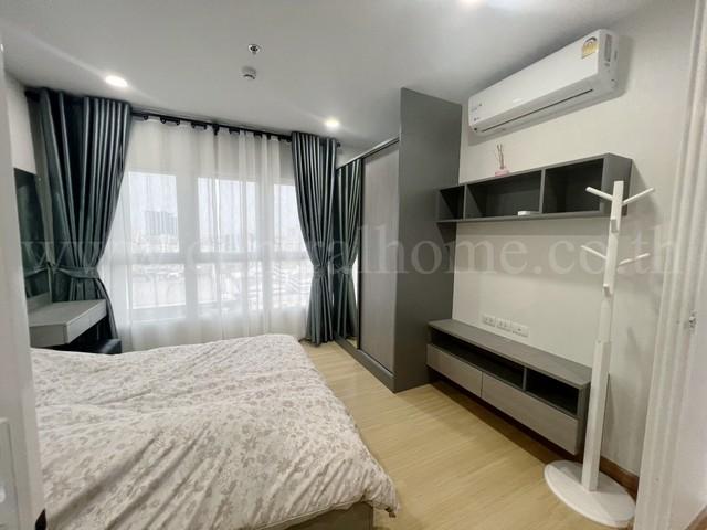 �͹������� �ҧ�л�