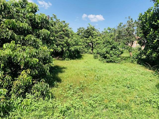 ��·��Թ ����� ��§����