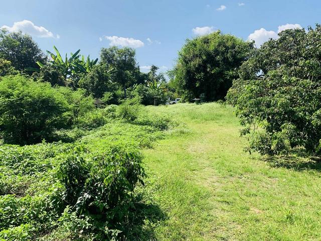 ��·��Թ ����� ��§����