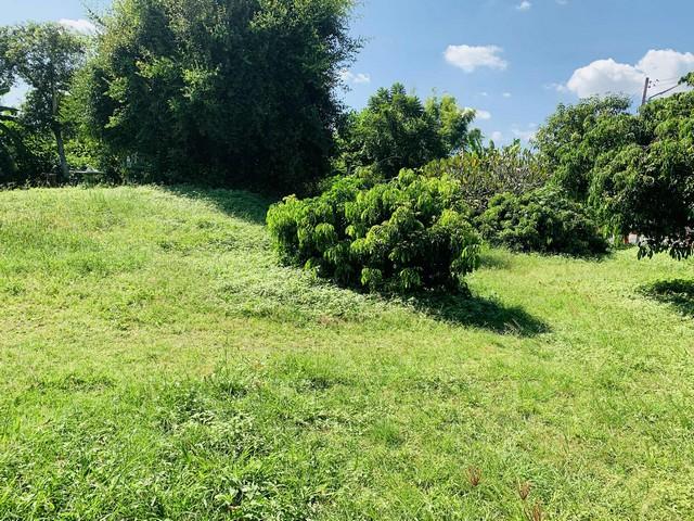 ��·��Թ ����� ��§����