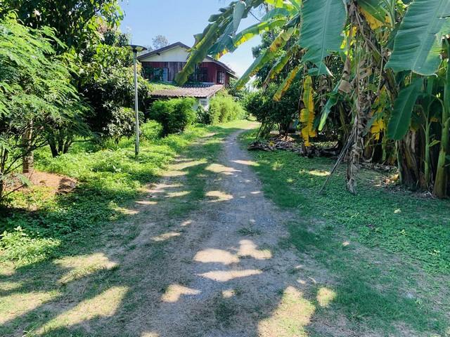 ��·��Թ ����� ��§����