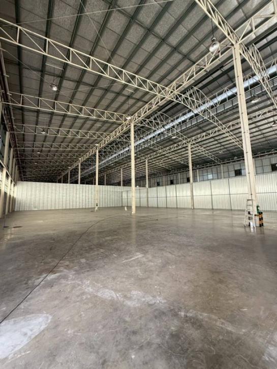 ⡴ѧ������ �ҧ����