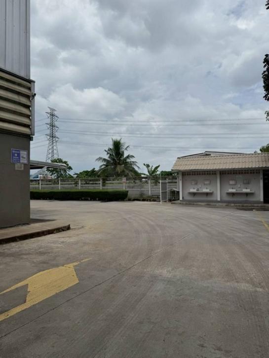 ⡴ѧ������ �ҧ����