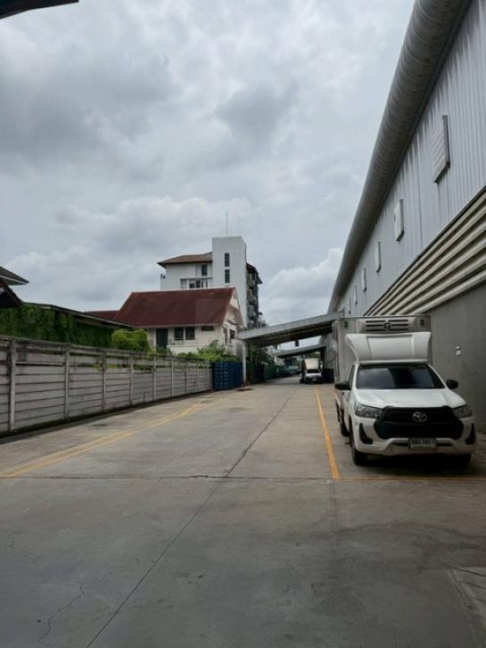 ⡴ѧ������ �ҧ����