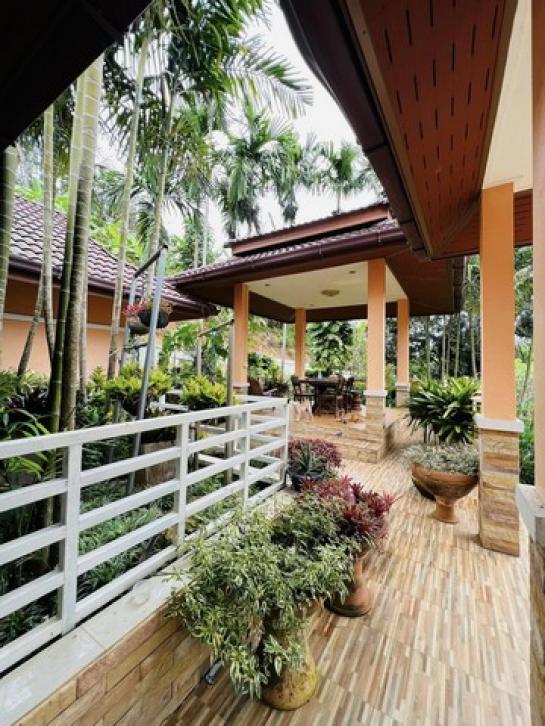 ��ҹ Built in/6/8